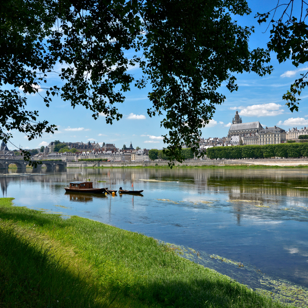 La Ville de Blois et son Château